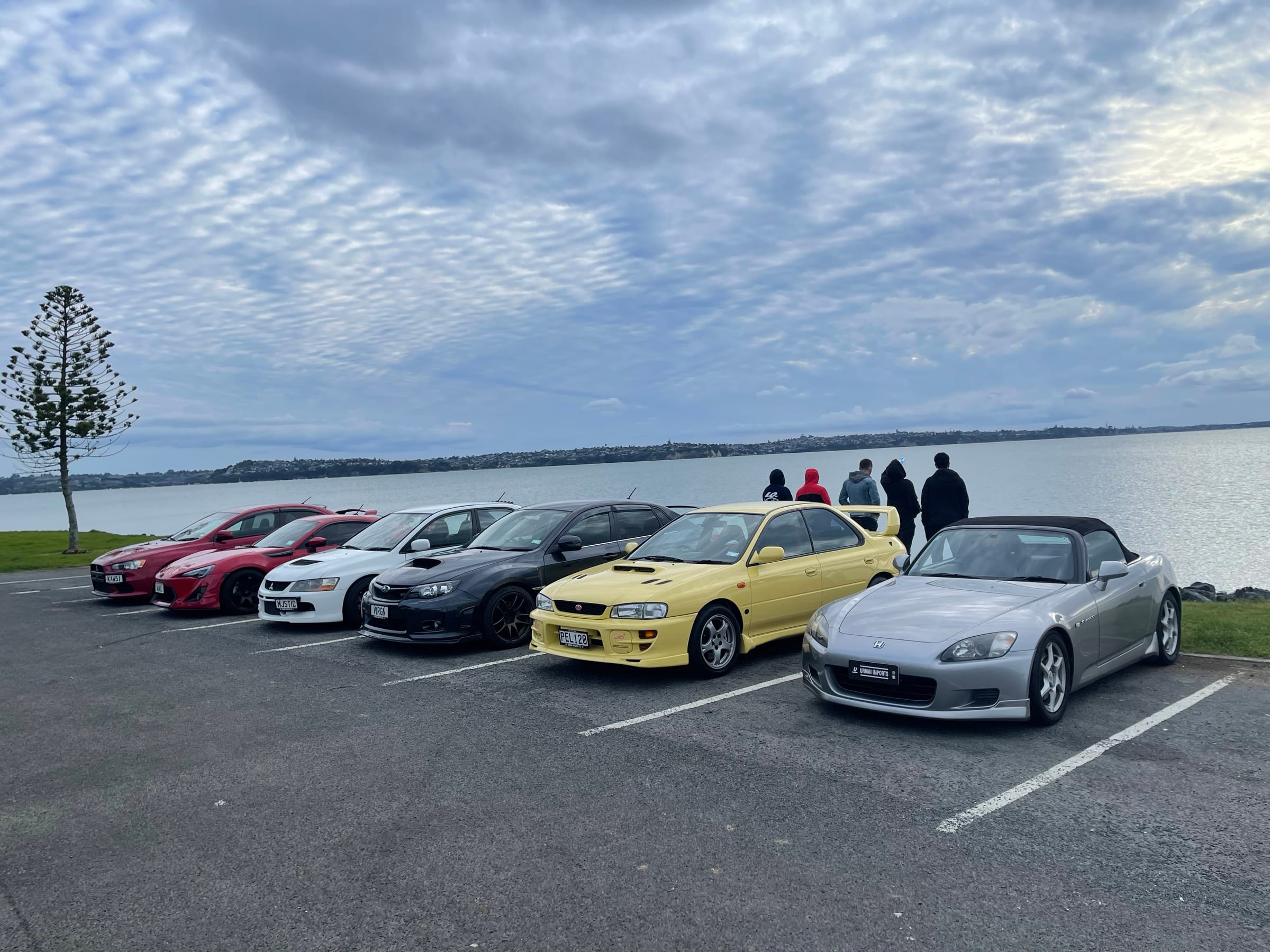 A line of imported Japanese performance cars parked along the Auckland waterfront with their owners